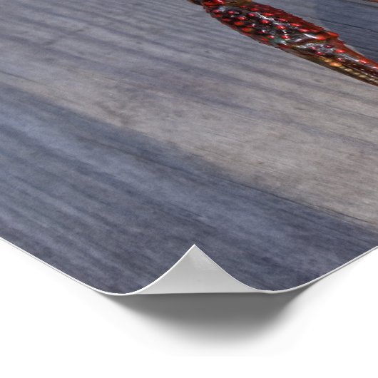 ザリガニ1匹 ポスター (角)