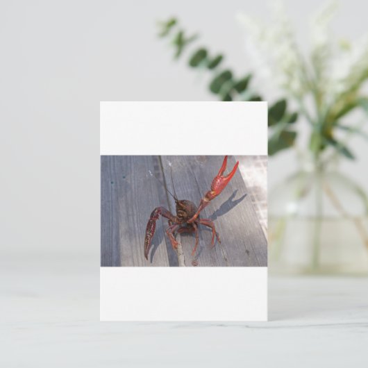 ザリガニ1匹 ポストカード (スタンド正面)