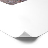 ザリス狩り ポスター (角)