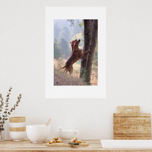 ザリス狩り ポスター (キッチン)