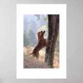 ザリス狩り ポスター (正面)