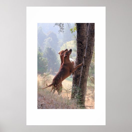 ザリス狩り ポスター (正面)