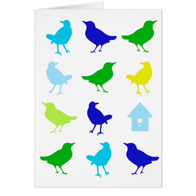 ザリス絵画チャリアによる着色鳥の数 (正面)