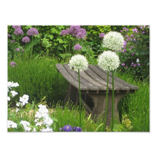 ザリトルベンチ – コダックプロフォトプリントサテン フォトプリント            (正面)