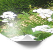 ザリトルベンチ – コダックプロフォトプリントサテン フォトプリント            (角)