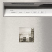 ザリバーシャノンとリメリック マグネット (インサイチュ (食洗機))