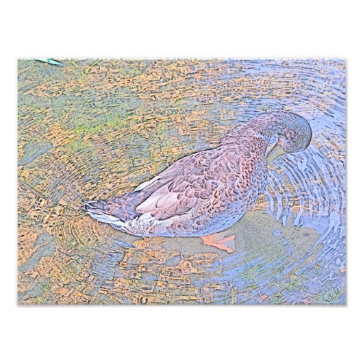 ザリプル フォトプリント            (正面)