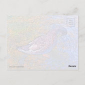 ザリプル ポストカード (裏面)