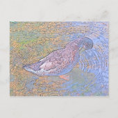 ザリプル ポストカード (正面)