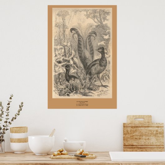 ザリレ鳥 ポスター (キッチン)