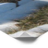 ザリンネックキジ ポスター (角)