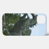 ザルツブルクのミラベル庭園の泉 Case-Mate iPhoneケース (裏面 (横))