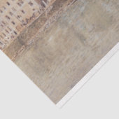 ザルツブルグの見解（Rudolf von Alt著） 薄葉紙 (詳細)