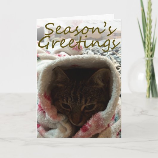 ザルビー繭火曜日挨拶状 シーズンカード (正面)