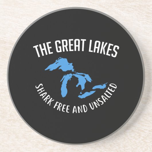 ザレイク素晴らしス コースター (正面)