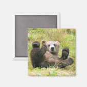 ザレイジーブラウンベア マグネット (正面/裏面)