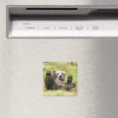 ザレイジーブラウンベア マグネット (インサイチュ (食洗機))