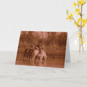 ザレイダーズ カード (黄色い花)