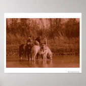 ザレイダーズ ポスター (正面)