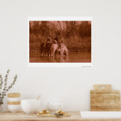 ザレイダーズ ポスター (キッチン)