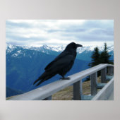 ザレイヴン ポスター (正面)