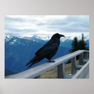 ザレイヴン ポスター