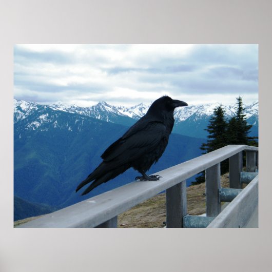 ザレイヴン ポスター (正面)