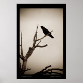 ザレイヴン ポスター (正面)