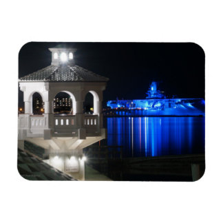 ザレキシントンとミラドーア マグネット