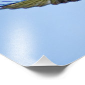 ザレッドカイト フォトプリント            (角)