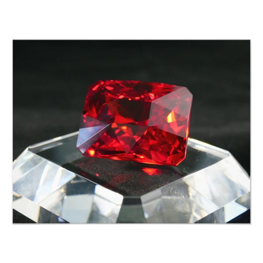 ザレッドジャックルビー フォトプリント            (正面)