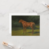 ザレッドソレル馬(by Rosa Bonheur) カード (正面/裏面インサイチュ)