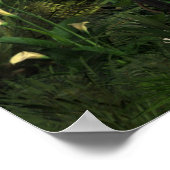 ザレディーオブザランタンプリント ポスター (角)