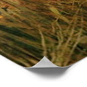 ザレディーオブシャロット(1888)～ファインアートキャンバス ポスター (角)