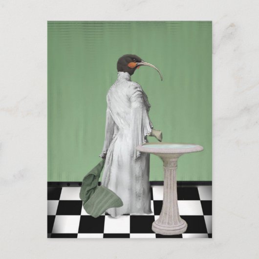 ザレディーズバス ポストカード (正面)