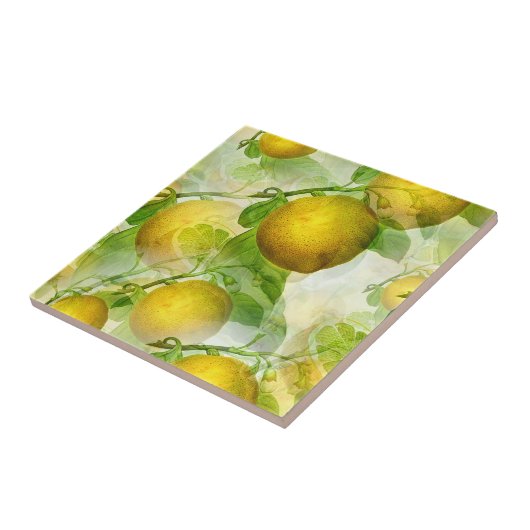 ザレモン タイル (側面)