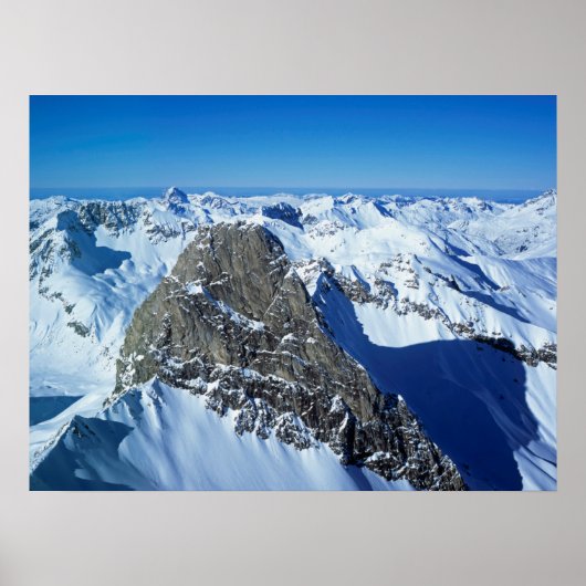 ザログスピッツセストアントンホリデーカード ポスター (正面)