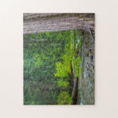 ザロスクリークシーダーズシーニックエリア ジグソーパズル (縦)