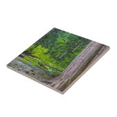 ザロスクリークシーダーズシーニックエリア タイル (側面)