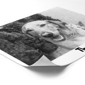 ザロスコ ポスター (角)