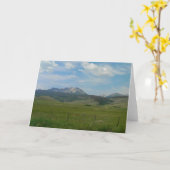 ザロッキー カード (黄色い花)