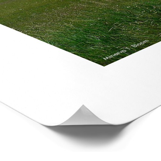 ザロッキー ポスター (角)