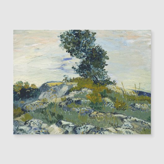 ザロックスビンセント・ヴァン・ゴッホ (正面)