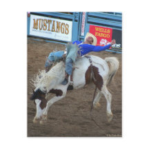 ザロデオコレクション – ワイルドライド