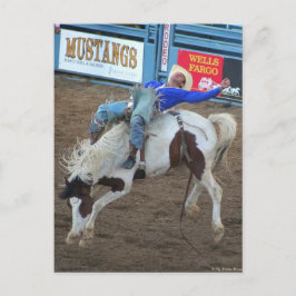 ザロデオコレクション – ワイルドライド ポストカード