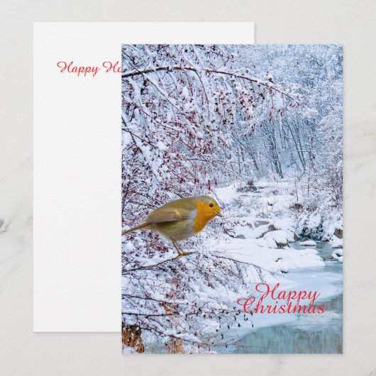 ザロビン シーズンカード (正面/裏面)