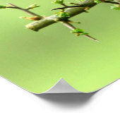 ザロビン ポスター (角)