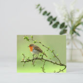 ザロビン ポストカード (スタンド正面)