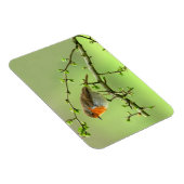 ザロビン マグネット (右側)