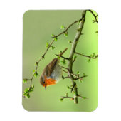 ザロビン マグネット (縦)